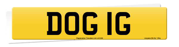 Registration number DOG 1G